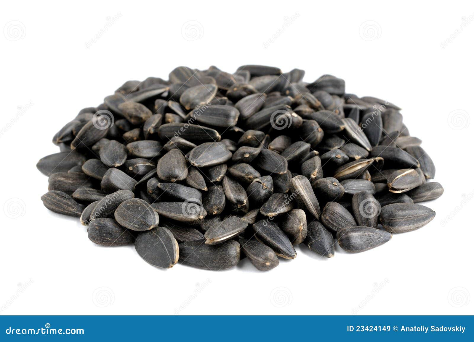Sunflower seeds